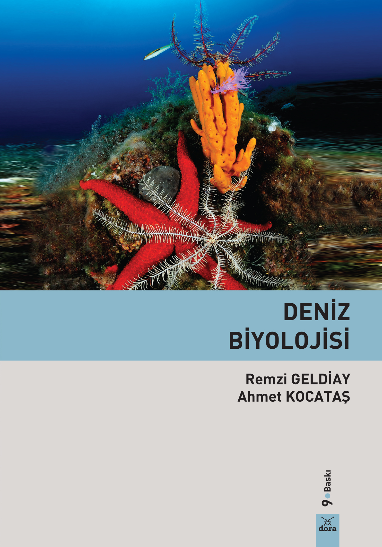 Deniz Biyolojisi
